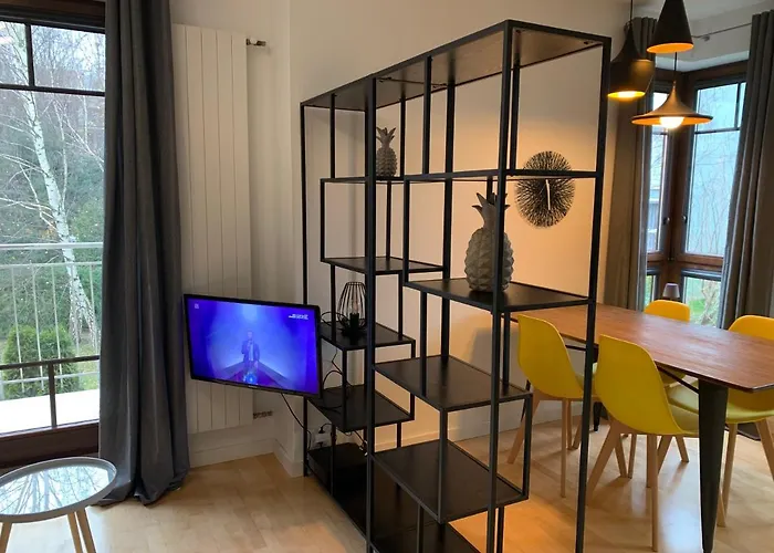 Sopocka Bryza Apartment *