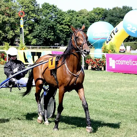 Sopocka Bryza Апартаменти *