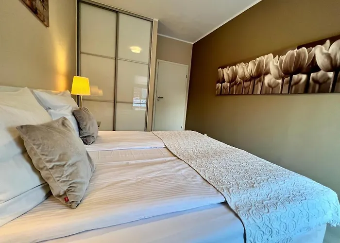 Sopocka Bryza סופוט