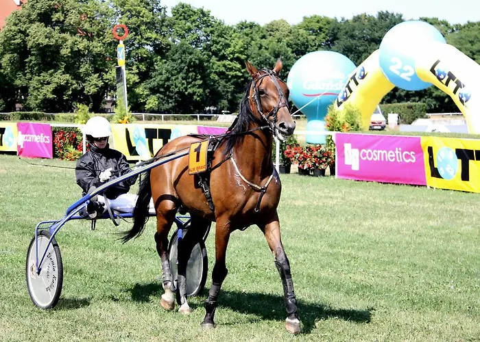 Sopocka Bryza דירה *